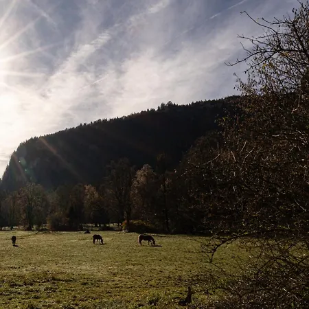 Artenreithof Schönau am Königssee