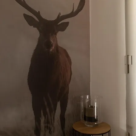 Apartmán Artenreithof *