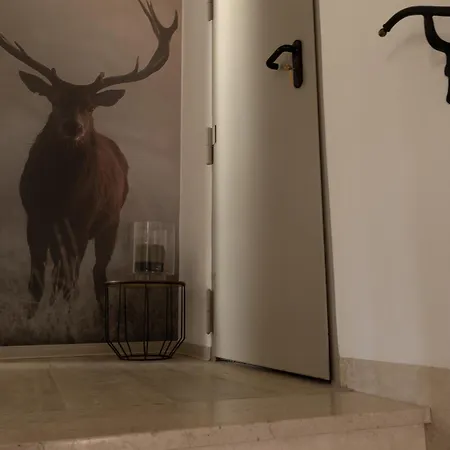 Apartmán Artenreithof *